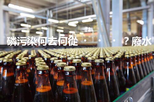 磷污染何去何從？廢水中的磷問題有解嗎？